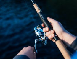 Fishing Tips Every Beginner Needs to Know
