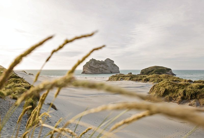 Rejuvenate Your Soul Revealing the Benefits of Coastline Tours in NZ