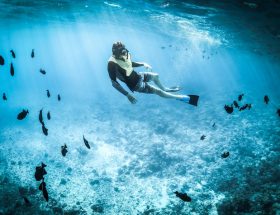 Tips for beginner divers