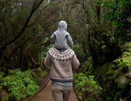 Top 10 Walks to Find New Zealand Wildlife