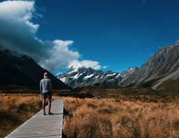 Unique Adventure Experiences in New Zealand