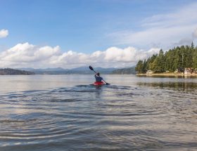Discovering the Wonders of Kayaking in New Zealand - A Comprehensive Guide