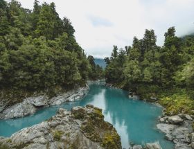 Unforgettable Adventure -Trekking through New Zealand's Breathtaking Landscapes