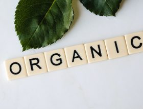 Unveiling the Truth about Organic Food in New Zealand - Benefits, Challenges, and Future Prospects