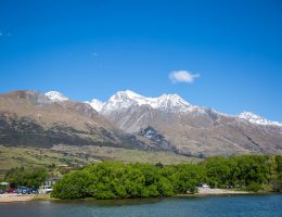 Unforgettable Summer Adventures- Discovering the Best Tours in New Zealand